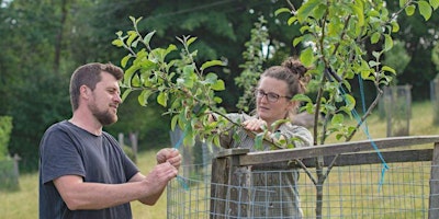 Exploring the opportunities for agroforestry in Wales primary image