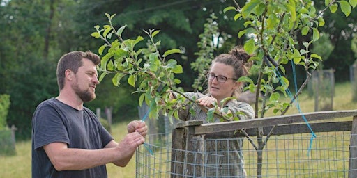 Hauptbild für Exploring the opportunities for agroforestry in Wales
