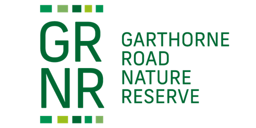 Imagen principal de Bat walk at Garthorne Road nature reserve