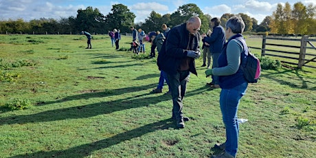 BFER Archaeology – Fieldwalking Training (12th April) primary image