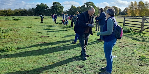 Hauptbild für BFER Archaeology – Fieldwalking Training (12th April)