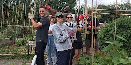 Corporate Volunteering At Harmony Gardens