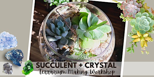 Succulent & Crystal Terrarium Building Workshop BYOB  primärbild