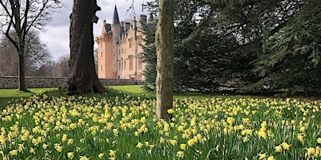 Daffodil Walk and Talk