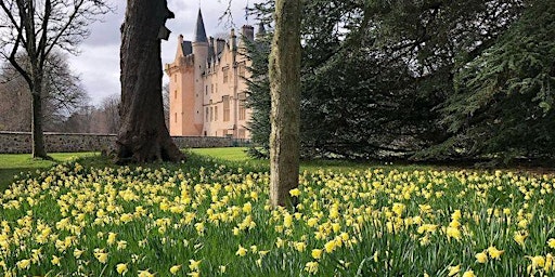 Daffodil Walk and Talk  primärbild