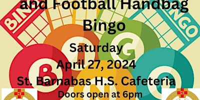 Feile boys hurling & football handbag bingo primary image