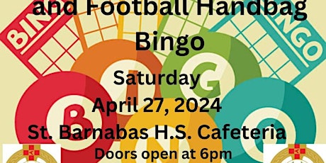 Feile boys hurling & football handbag bingo