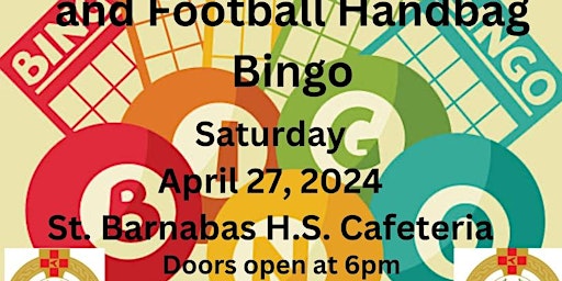 Imagem principal de Feile boys hurling & football handbag bingo