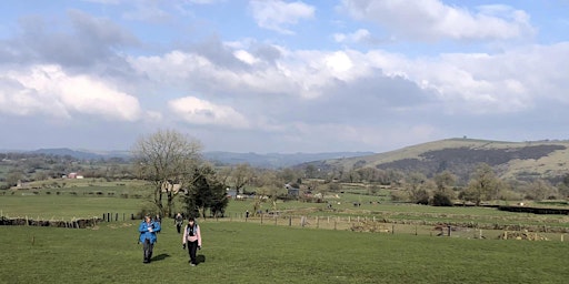 Primaire afbeelding van Walk the Moorlands - Let's have a Hoo down!(8 miles or so).