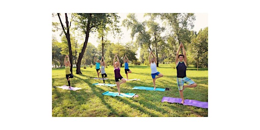 Hauptbild für Alpaca Yoga