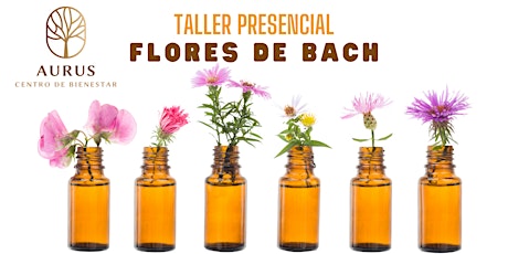 Taller Presencial Flores de Bach primary image