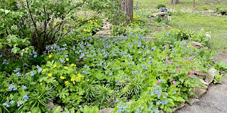 2024 Habitat Garden Tours - 7 months of native gardens