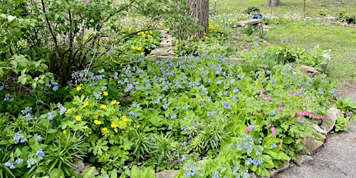 Hauptbild für 2024 Habitat Garden Tours - 7 months of native gardens