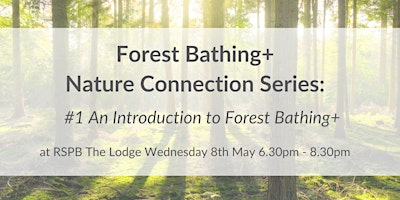 Image principale de Forest Bathing+ Nature Connection Series #1 at RSPB The Lodge: Wed 8th May