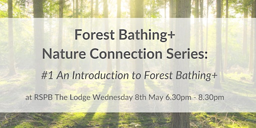 Primaire afbeelding van Forest Bathing+ Nature Connection Series#1 at RSPB The Lodge: Wed 8th May