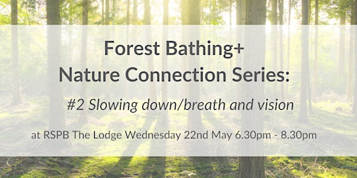 Primaire afbeelding van Forest Bathing+ Nature Connection Series#2 at RSPB The Lodge: Wed 22nd May