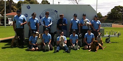 Imagem principal de Pet Dog Skills Level 1 - Albany All Breeds Dog Club  - Round Two