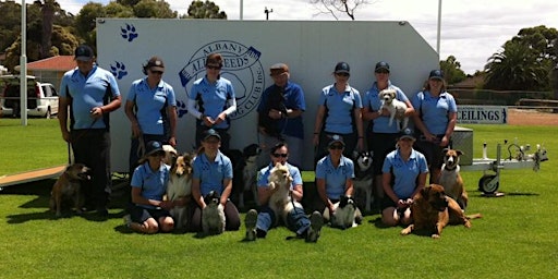 Imagem principal do evento Pet Dog Skills Level 3 - Albany All Breeds Dog Club - Round Two