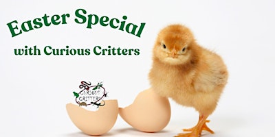 Imagem principal do evento Curious Critters Easter Special