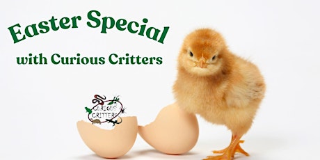 Curious Critters Easter Special