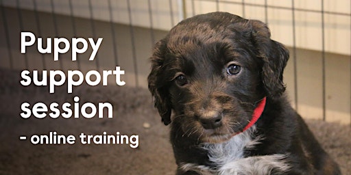 Online Support Group for Puppy Owners primary image