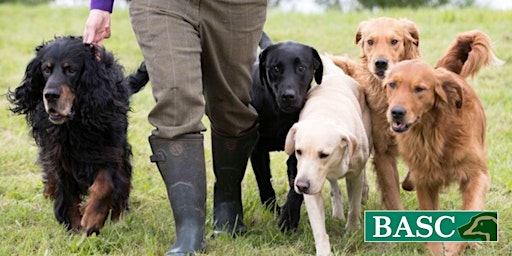 Imagem principal do evento Intermediate Gundog Training Event- Essex