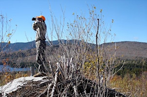 Primaire afbeelding van Moose Hunting in Maine - Augusta