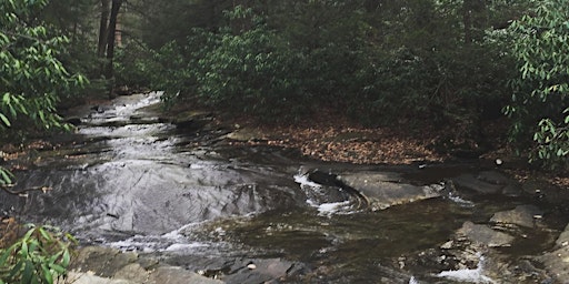 Primaire afbeelding van We Hike to Heal with 52 Hike Challenge Pennsylvania at Linn Run State Park