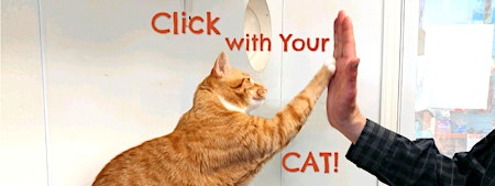 Imagem principal do evento Click with Your Cat