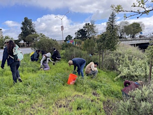 Imagen principal de Volunteer Restoration Workday at Redwood Creek