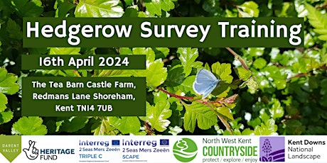 Darent Valley Hedgerow Survey Training