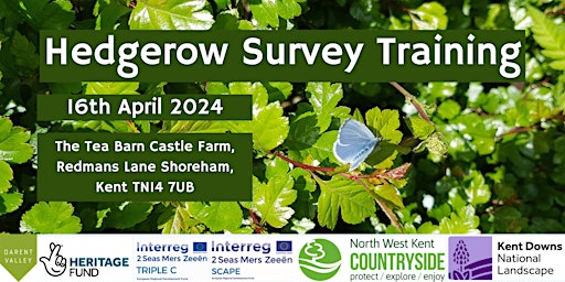 Darent Valley Hedgerow Survey Training primary image