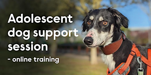 Online Support Group for Adolescent Dog Owners primary image