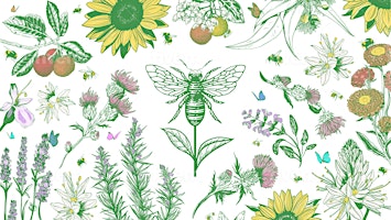 Imagem principal de Visita il Bee Garden