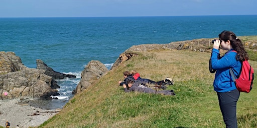 Imagem principal do evento North Wales Wildlife Trust bird race 2024