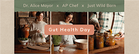 Hauptbild für Gut Health Workshop Day