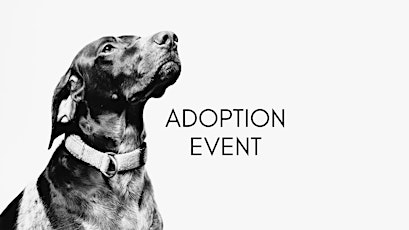 Dog Adoption Event and Fundraiser for Lola's Rescue