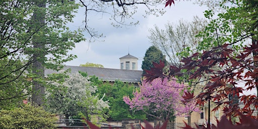 Imagem principal de Haverford College Arboretum Tours