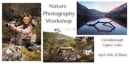 Imagem principal do evento Early Risers Nature Photography Workshop - Madeline Mulqueen