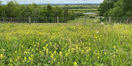 New Members Morning - Rainton Meadows