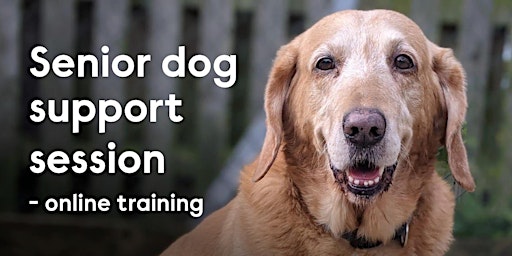 Online Support Group for Senior Dog Owners primary image