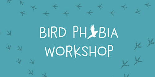 Imagem principal do evento Bird Phobia Workshop