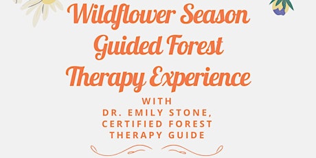 Wildflower Guided Forest Therapy Experience Just For Therapists