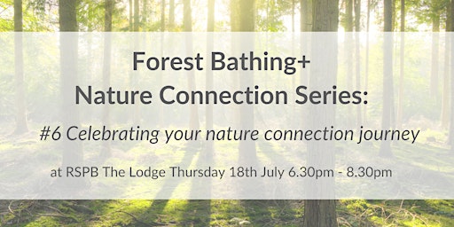 Primaire afbeelding van Forest Bathing+ Nature Connection Series#6 at RSPB The Lodge:Thur 18th July