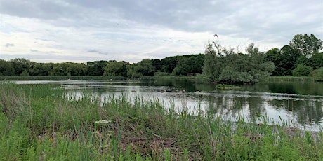 Guided Wildflower Walk (Members Only)