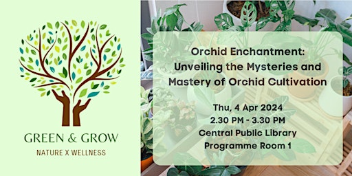 Primaire afbeelding van Orchid Enchantment: Unveiling the Mysteries and Mastery of Cultivation