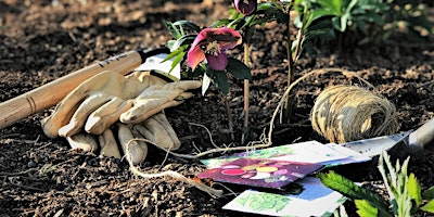 Community Garden Morning  primärbild