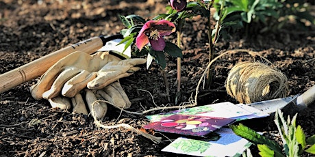 Community Garden Morning