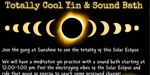 Imagen principal de Totally Cool Yin & Sound Bath