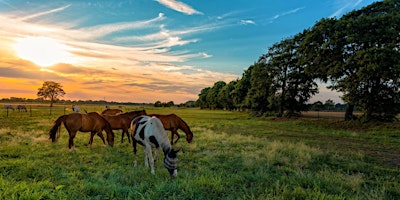 Imagem principal do evento Central Florida Pasture Management School